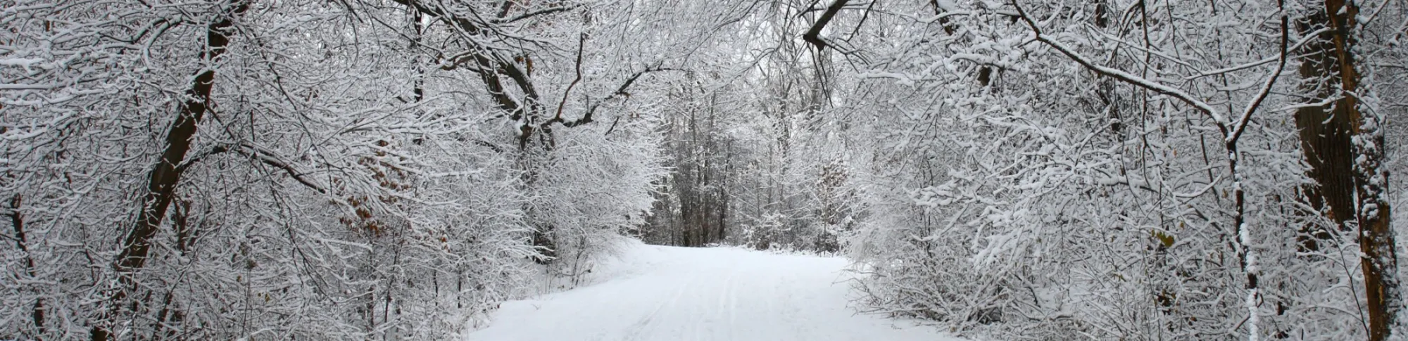 Centrasota Oral & Maxillofacial Surgeons, PA - Surgery in Alexandria, MN, view 4